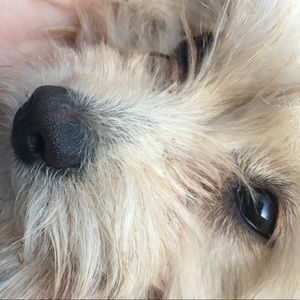 Meet your Posher, Sonya